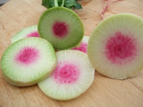 Red shiso at 9 weeks (click for full sized image)
