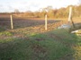 Deer fence at Namayasai