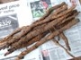 Gobo harvest